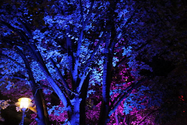 Festival of Lights   035.jpg